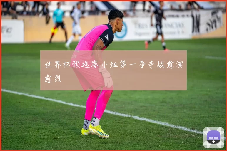 世界杯预选赛小组第一争夺战愈演愈烈
