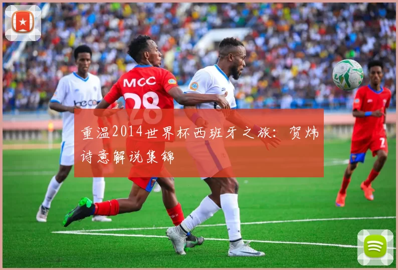重温2014世界杯西班牙之旅:贺炜诗意解说集锦