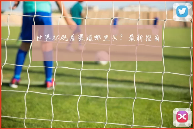 世界杯观看渠道哪里买？最新指南
