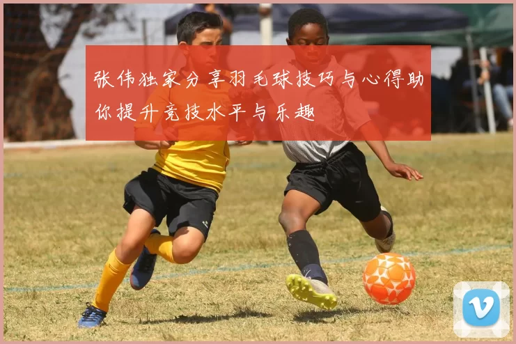 张伟独家分享羽毛球技巧与心得助你提升竞技水平与乐趣