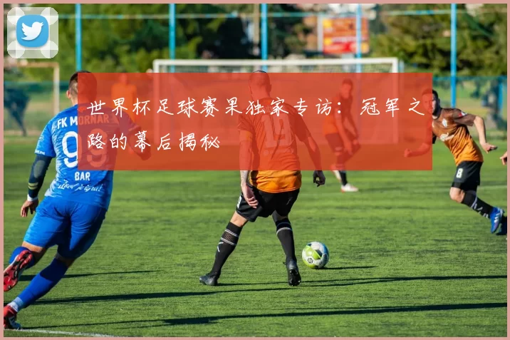 世界杯足球赛果独家专访:冠军之路的幕后揭秘