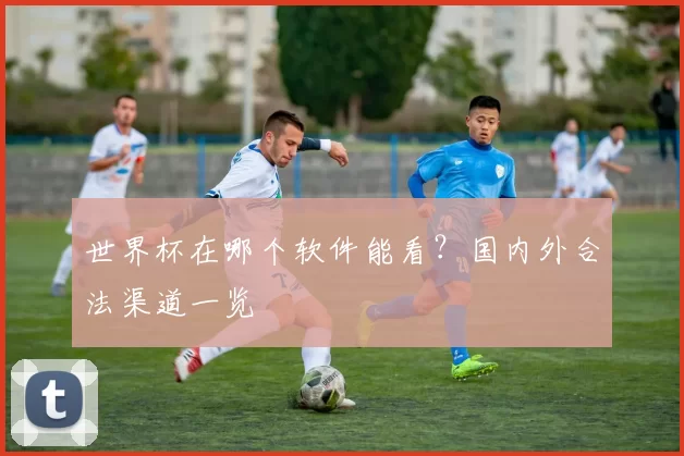 世界杯在哪个软件能看?国内外合法渠道一览