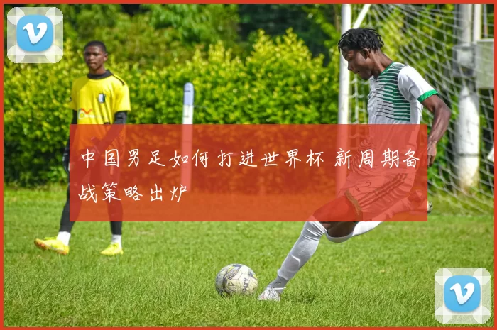 中国男足如何打进世界杯 新周期备战策略出炉