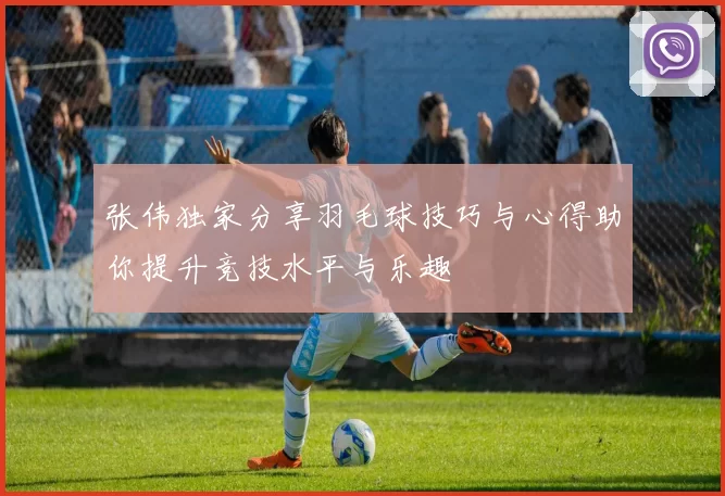 张伟独家分享羽毛球技巧与心得助你提升竞技水平与乐趣