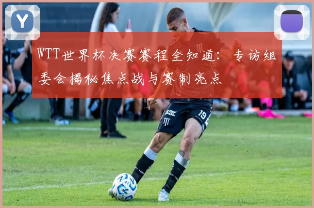 WTT世界杯决赛赛程全知道:专访组委会揭秘焦点战与赛制亮点
