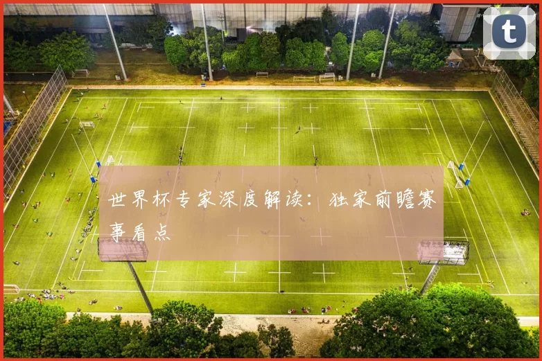 世界杯专家深度解读:独家前瞻赛事看点