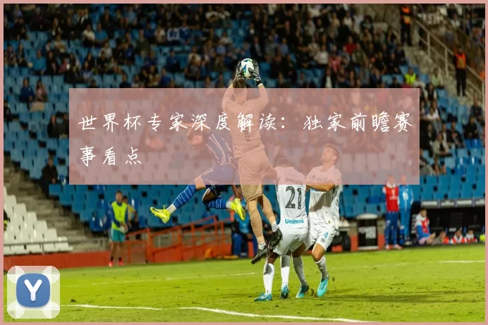 世界杯专家深度解读:独家前瞻赛事看点