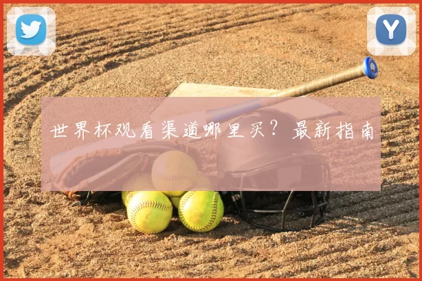 世界杯观看渠道哪里买?最新指南