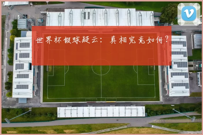 世界杯假球疑云：真相究竟如何？