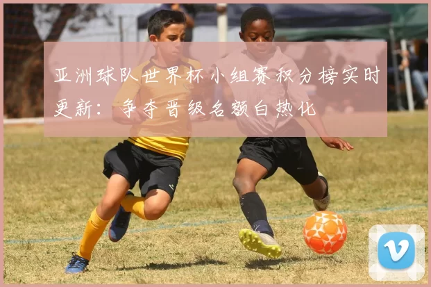 亚洲球队世界杯小组赛积分榜实时更新：争夺晋级名额白热化