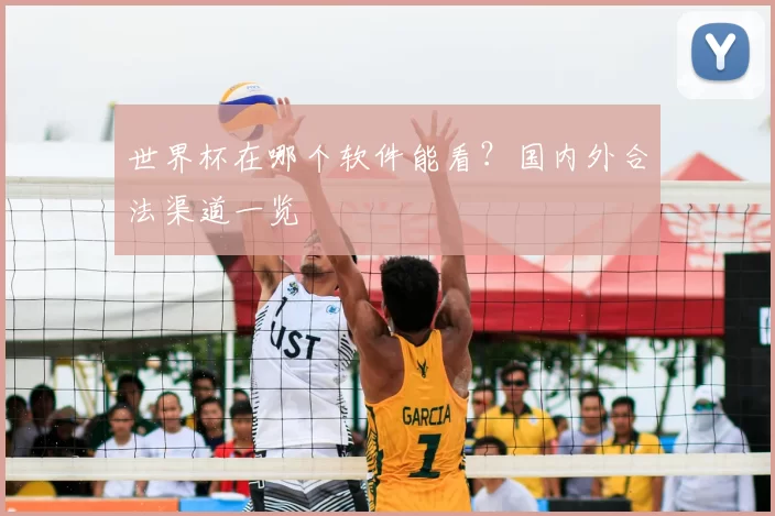 世界杯在哪个软件能看？国内外合法渠道一览